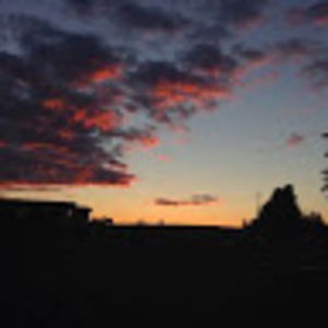 Meet your Posher, Alexandra